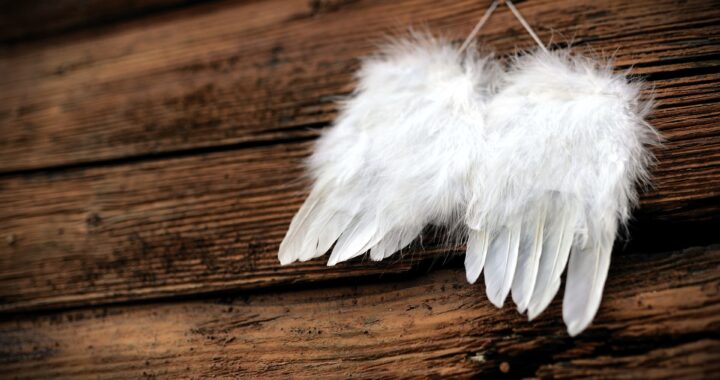 feathers-4661244_1920