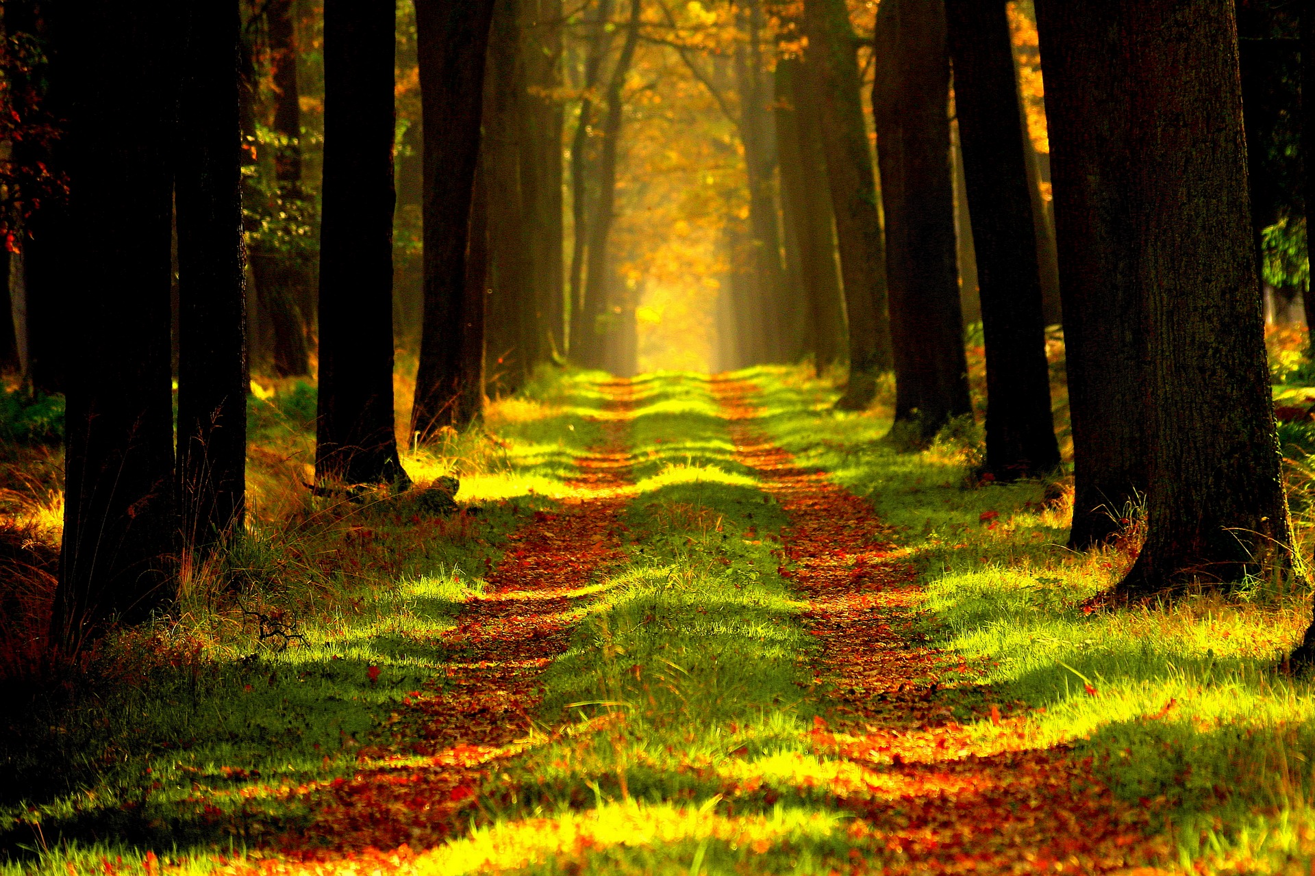 Będzin i jego natura