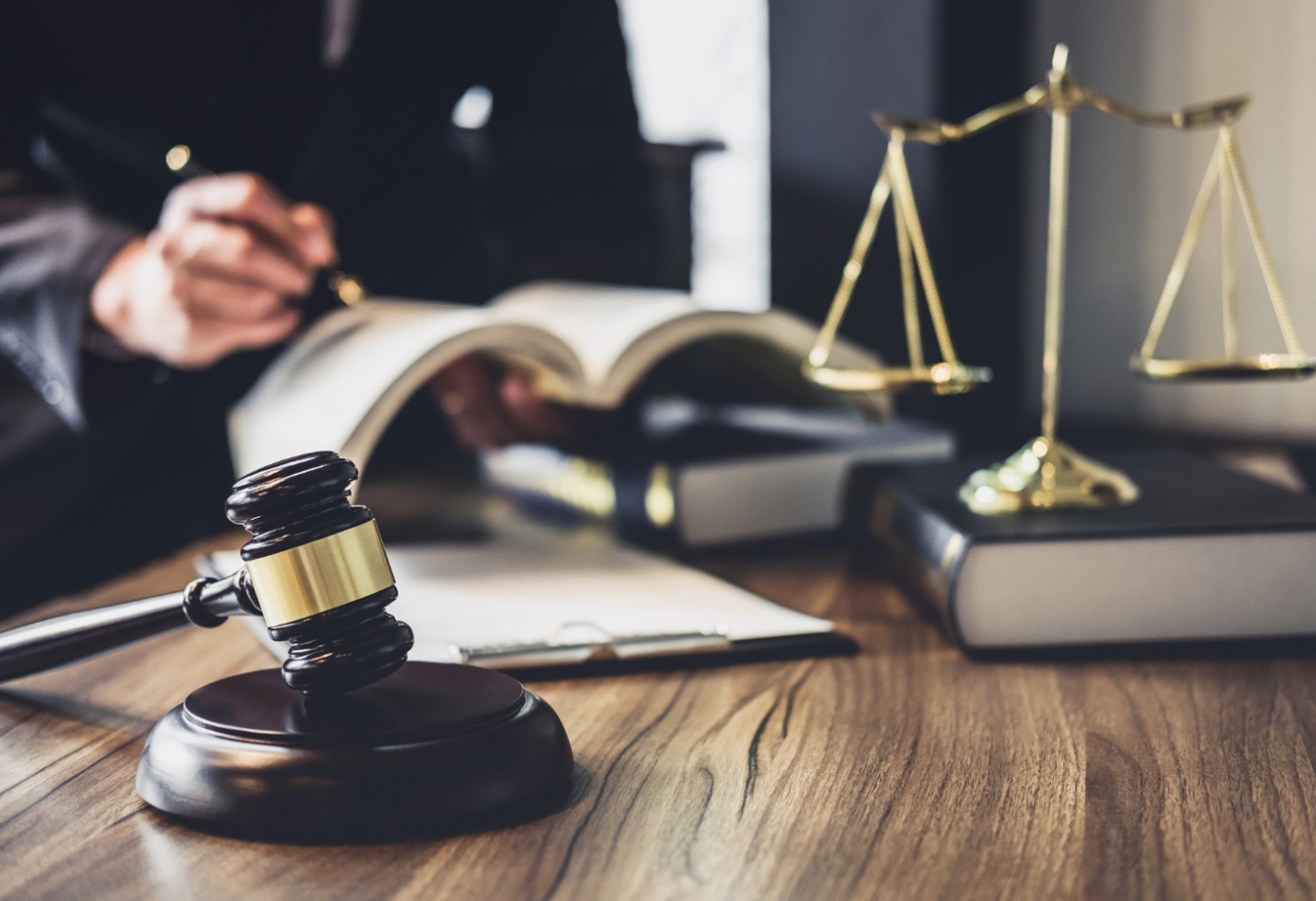 Atak orła na psa w Wojkowicach – właściciel ptaka stanie przed sądem