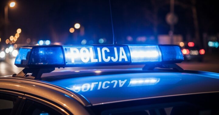 7-kilogram--w-narkotyk--w-nie-trafi-na-rynek--42-l-auto-305