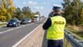 Myszków: auto na rondzie, kierowca w rowie