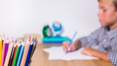 Wyniki BO: szkoły z największym poparciem